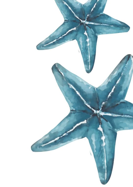Teal Starfish Study