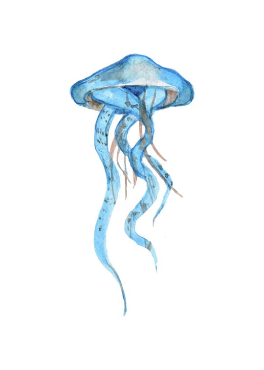 Blue Jellyfish