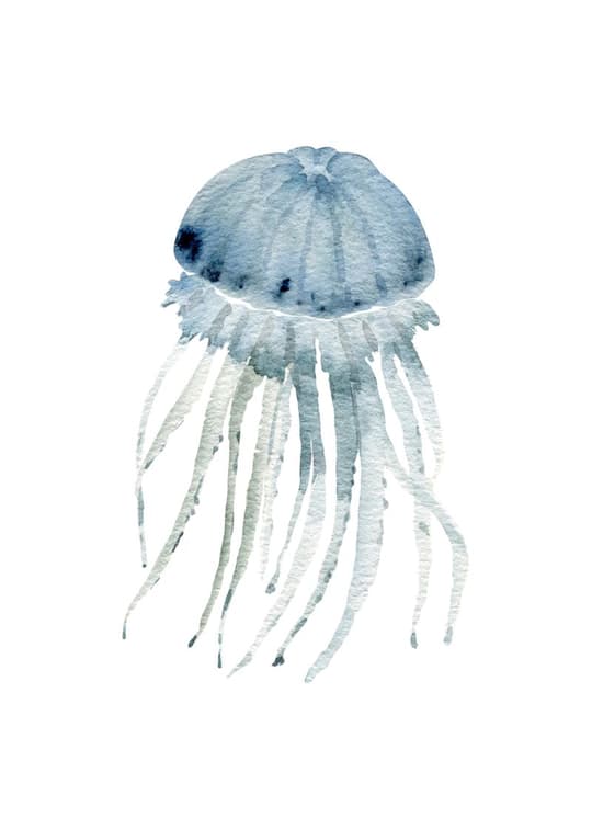 Watercolor Jellyfish