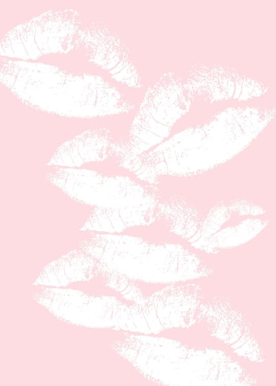Pink Feathers