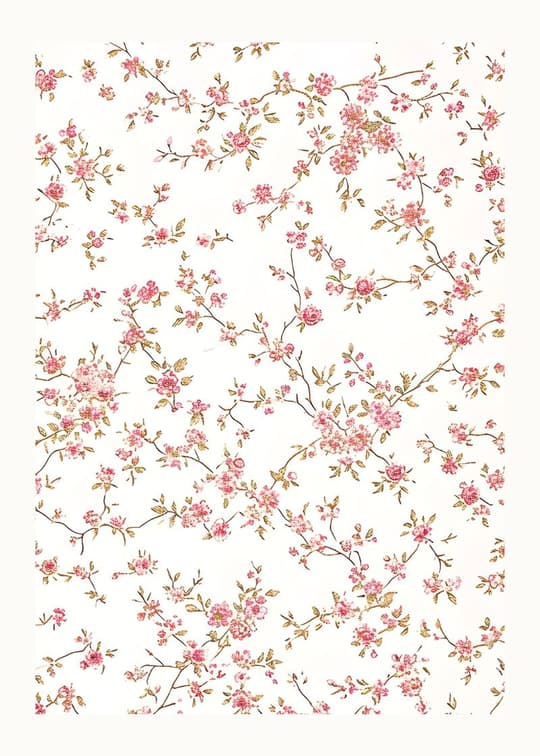 Scattered Cherry Blossoms