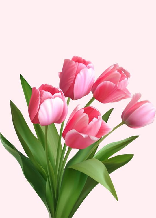 Pink Tulip Bouquet