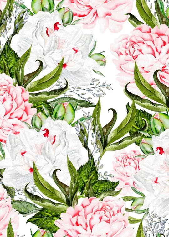Pink & White Carnations