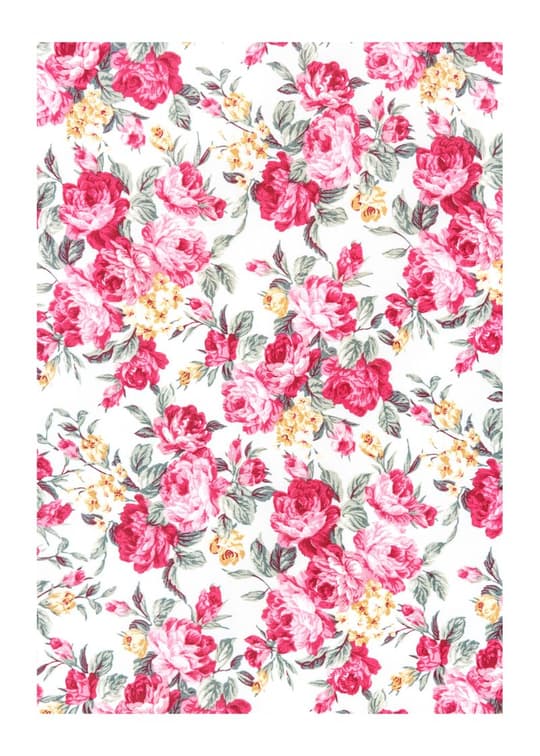 Pink Peony Garden