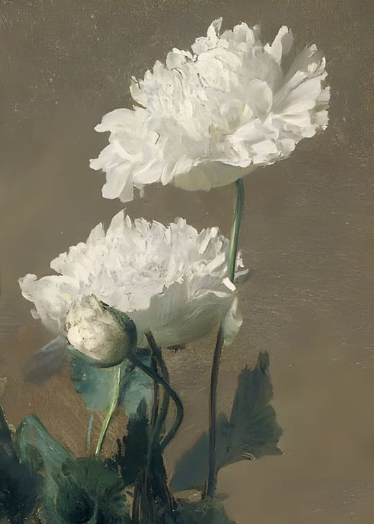 White Peonies