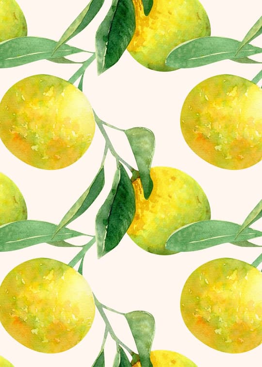 Lemon Orchard Pattern