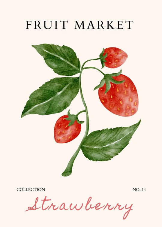 Fruit Market: Strawberry