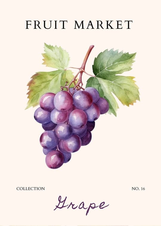 Fruit Market: Grape
