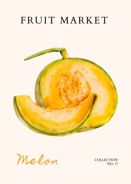 Fruit Market - Melon
