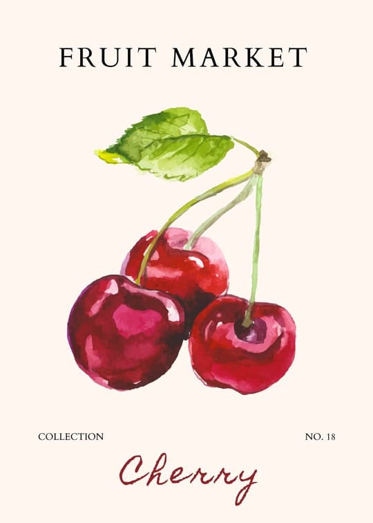Fruit Market Cherry No. 18