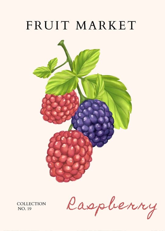 Fruit Market Raspberry