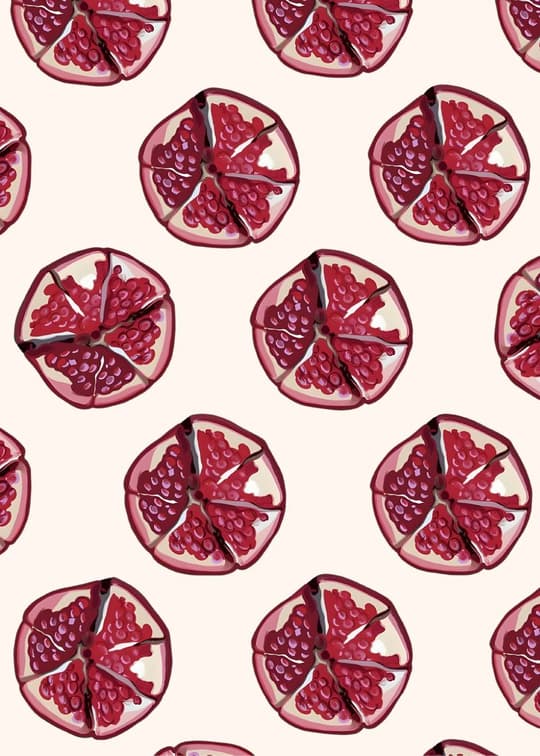 Pomegranate Pattern