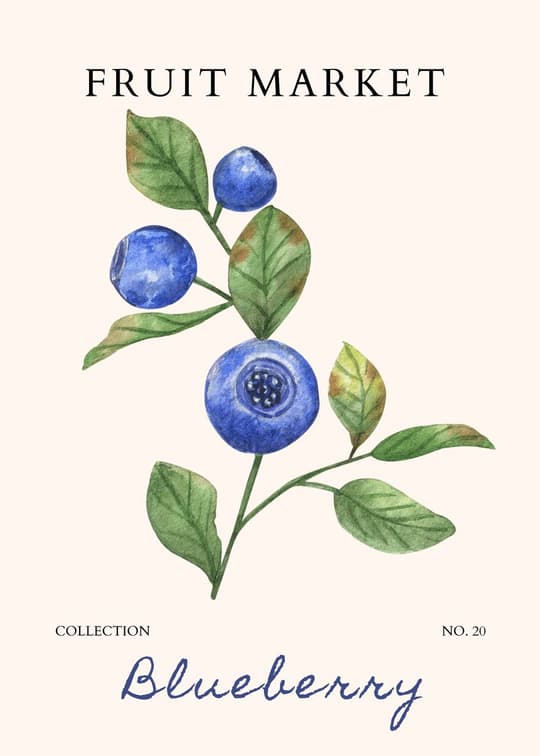 Fruit Market Blueberry