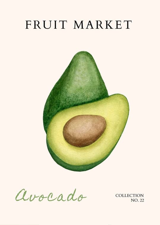 Fruit Market: Avocado No. 22
