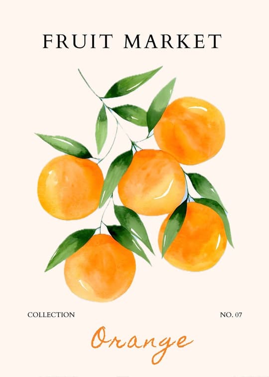 Fruit Market: Orange