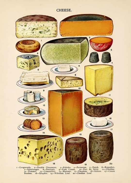 Cheese Varieties
