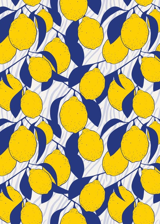 Lemon Grove