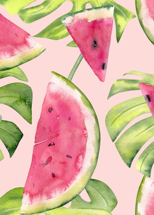Watermelon Slices