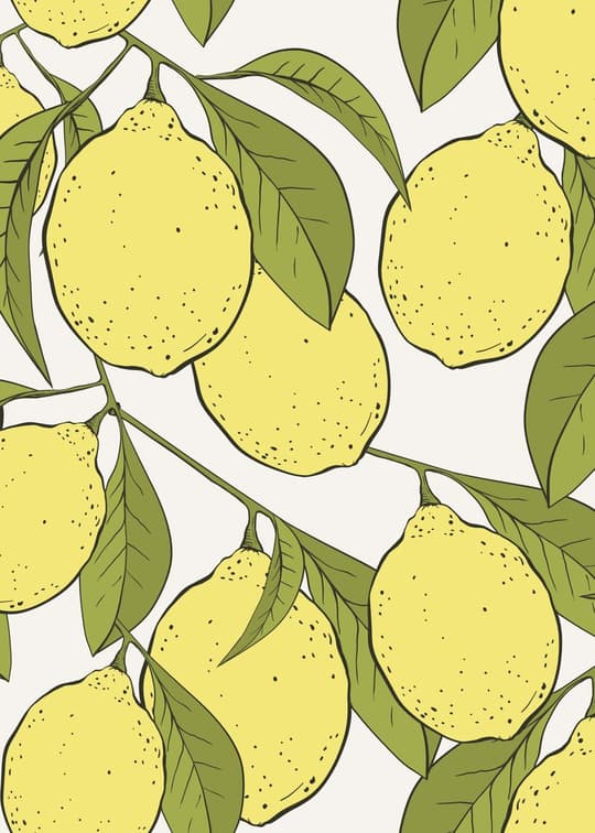 Lemon Garden
