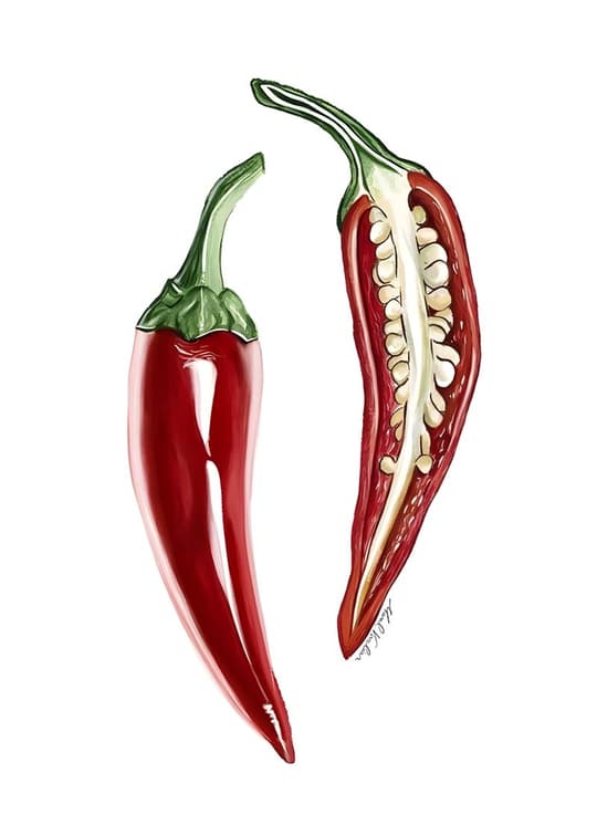 Chili Peppers Study