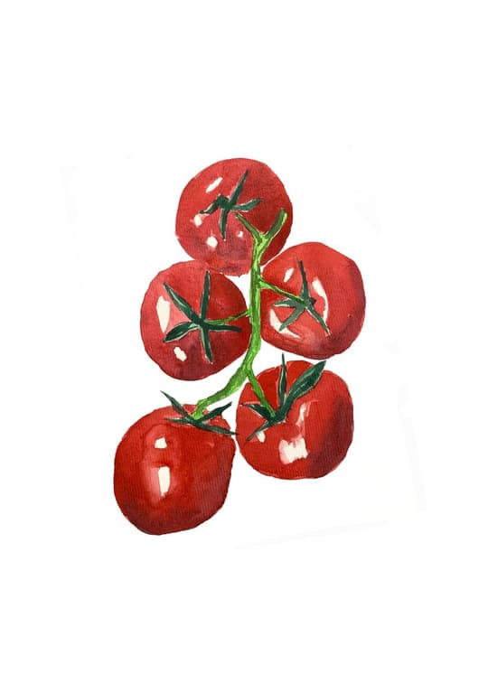 Cherry Tomatoes on the Vine