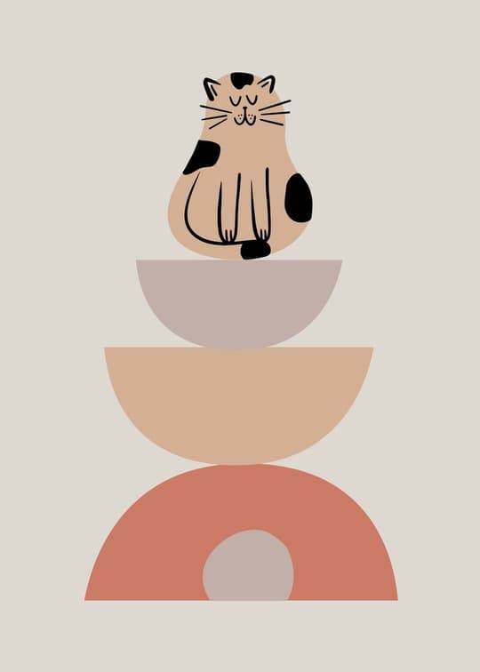 Stacked Geometric Cat