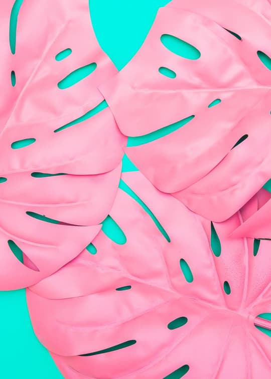 Pink Monstera Pop Art