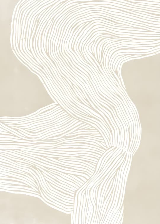 Flowing Lines Abstract