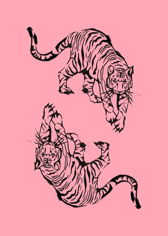 Tiger Duo