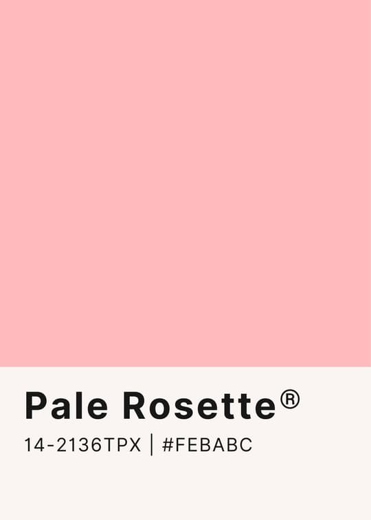 Pale Rosette