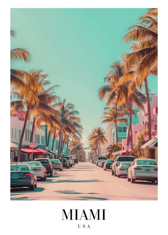 Miami Street Scene
