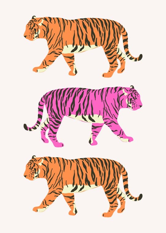Vibrant Tiger Trio