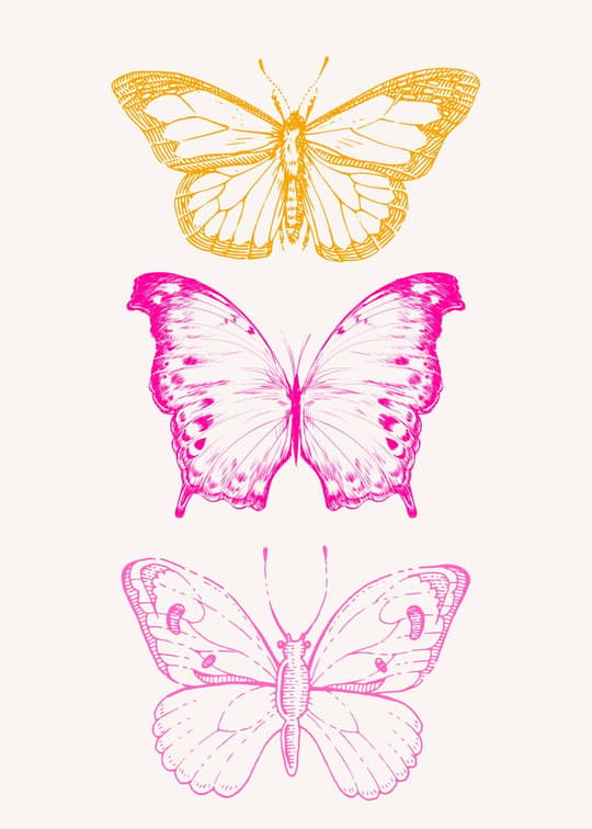 Triple Butterflies Study