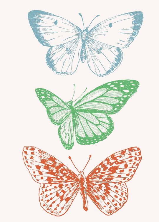 Three Butterflies