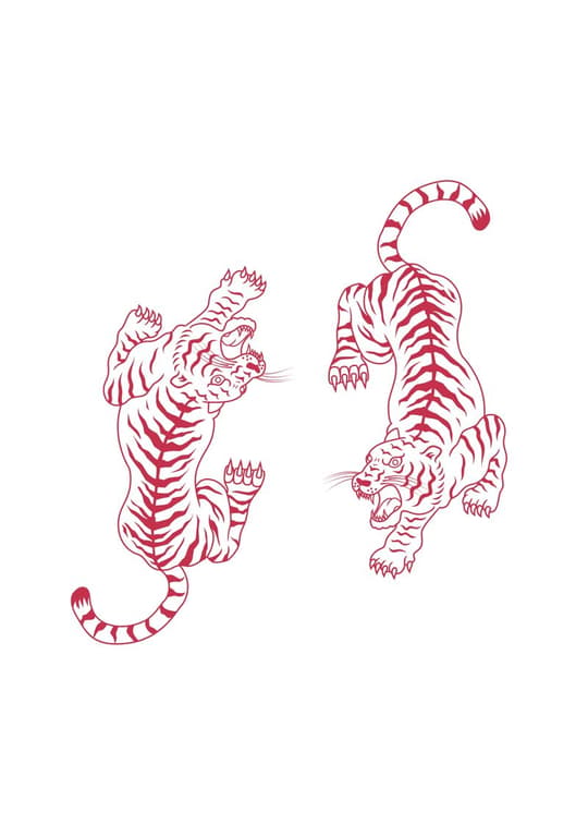 Twin Tigers