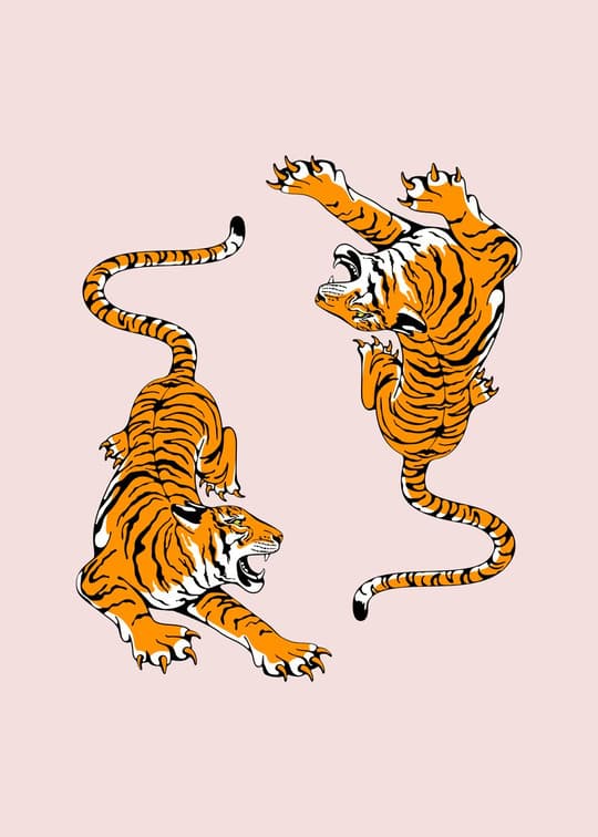Tiger Transformation Dance