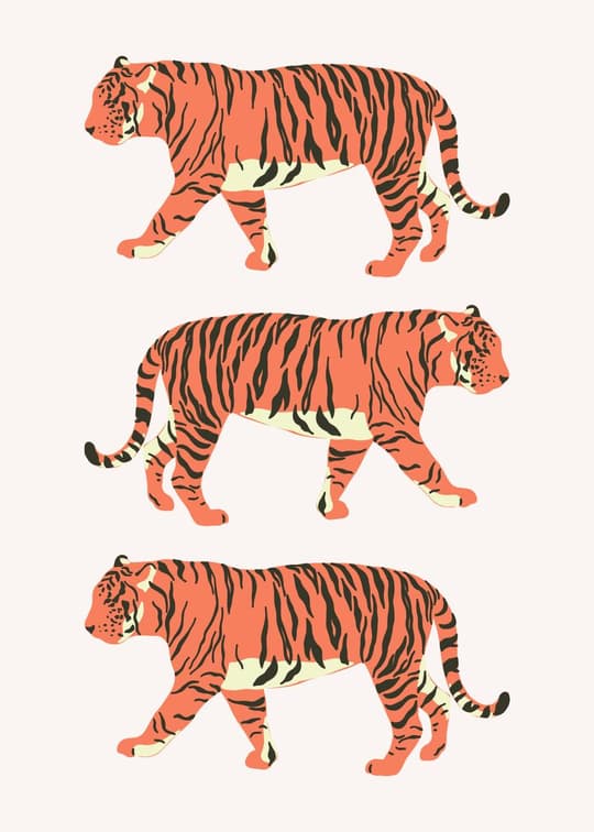 Walking Tigers