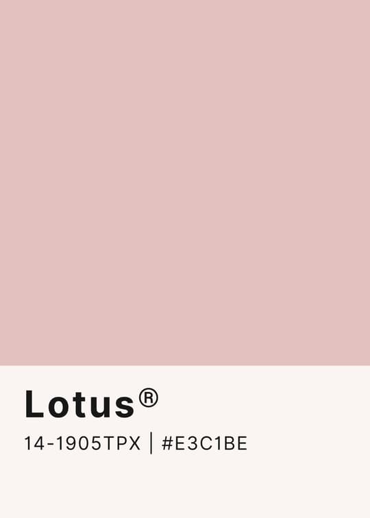 Lotus