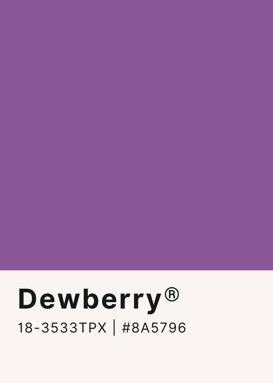 Dewberry