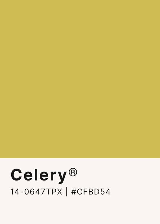 Celery