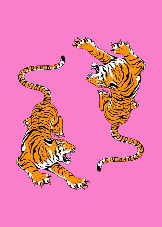Dragon Tiger Stance