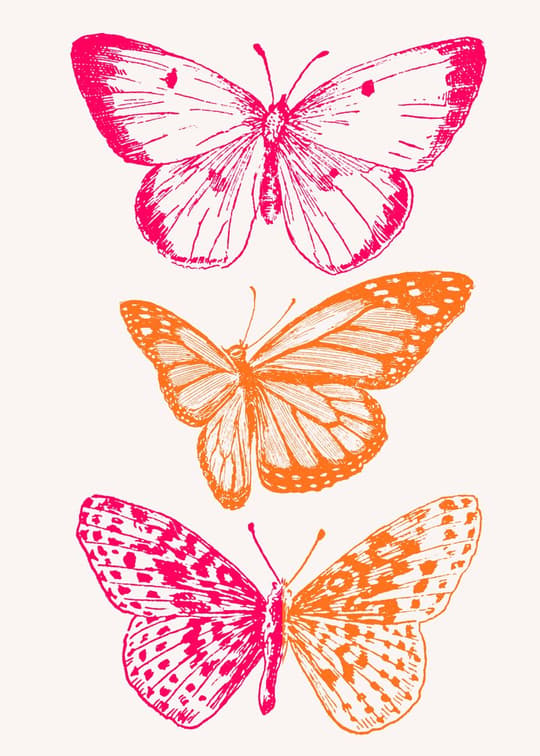 Butterfly Trio