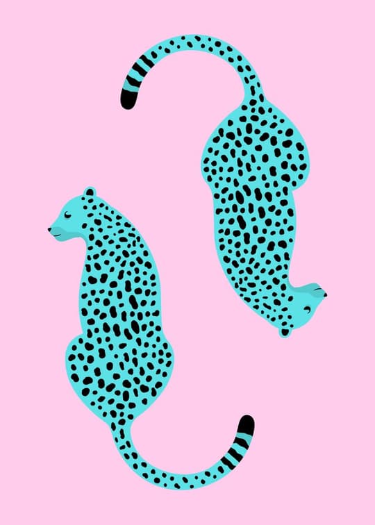 Spotted Seahorse Duo