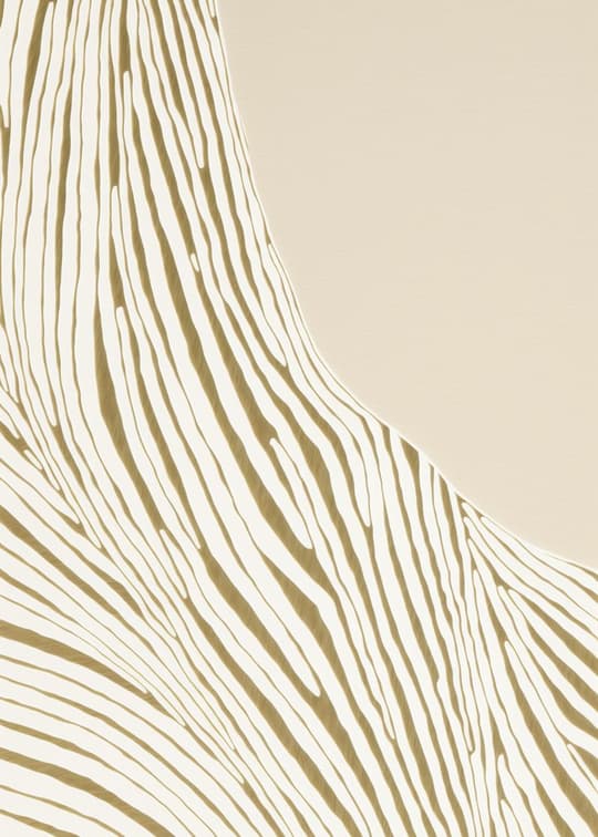 Flowing Curves in Gold