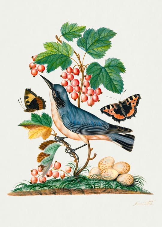 Bird with Currants and Butterflies