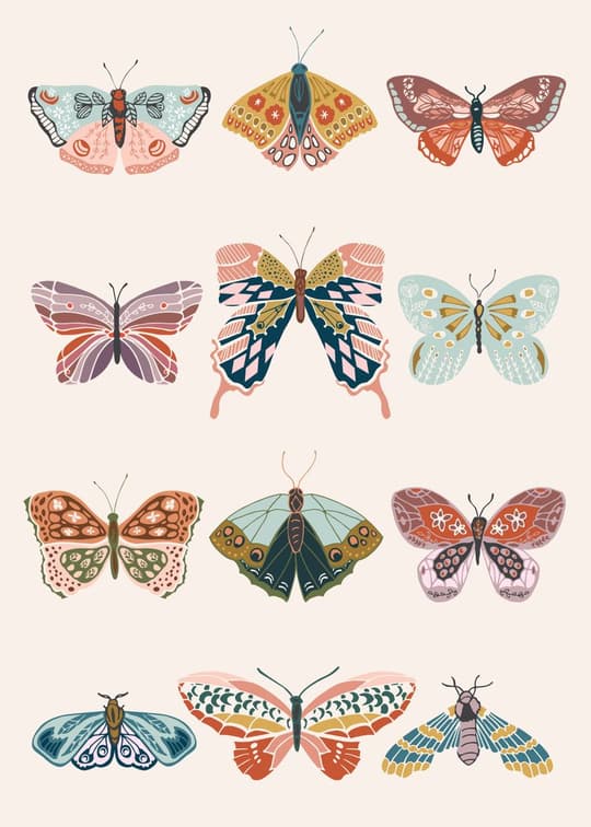 Butterfly Collection