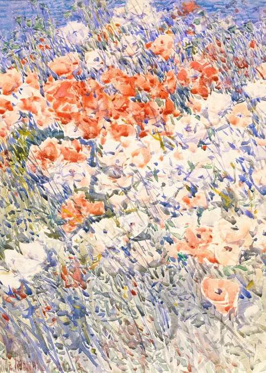 Poppy Field in Bloom