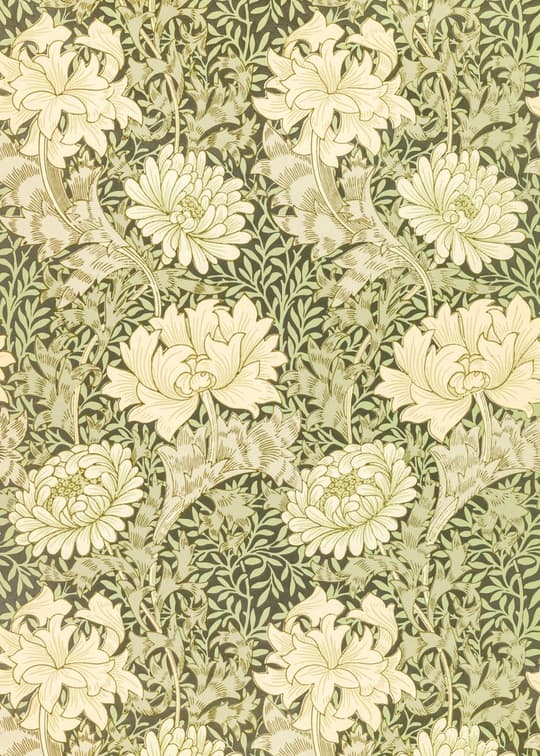 Chrysanthemum Garden