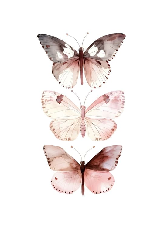 Three Butterflies Study