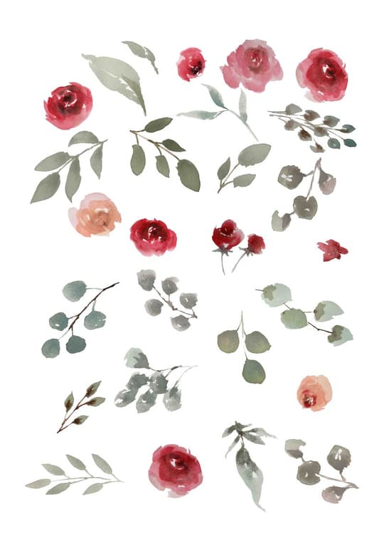 Botanical Floral Study